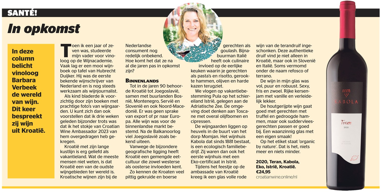 wiincolumn Barbara Verbeek in de Telegraaf